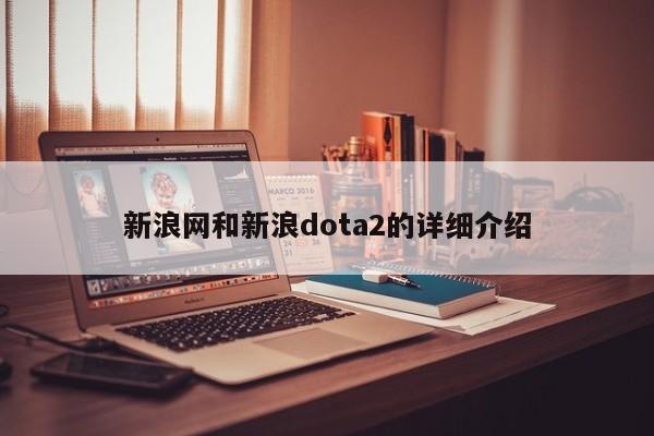 新浪网和新浪dota2的详细介绍