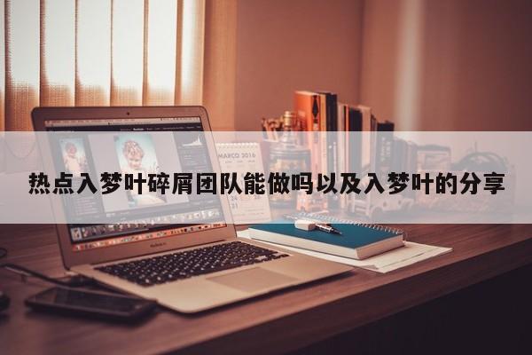 热点入梦叶碎屑团队能做吗以及入梦叶的分享