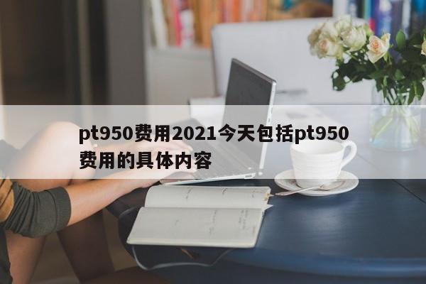 pt950费用2021今天包括pt950费用的具体内容