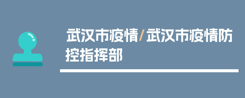 武汉市疫情/武汉市疫情防控指挥部