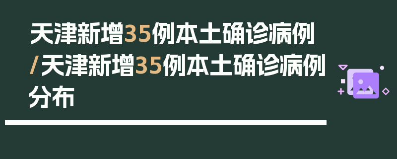 天津新增35例本土确诊病例/天津新增35例本土确诊病例分布