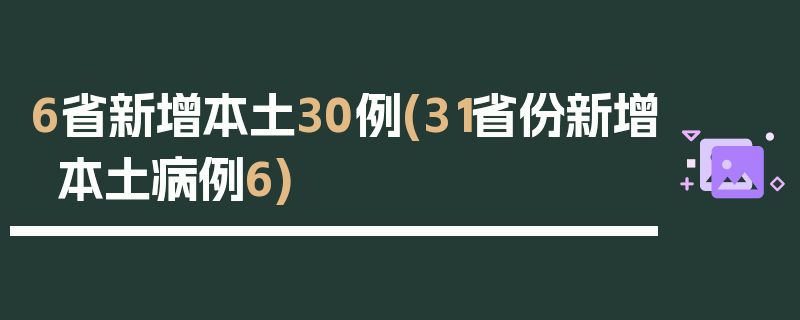 6省新增本土30例(31省份新增本土病例6)