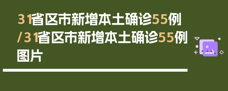 31省区市新增本土确诊55例/31省区市新增本土确诊55例图片