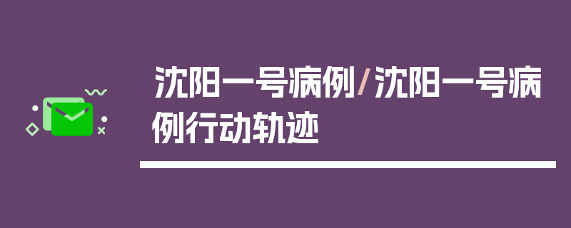 沈阳一号病例/沈阳一号病例行动轨迹