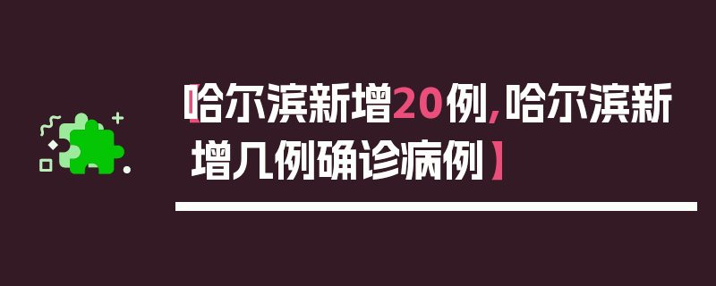 【哈尔滨新增20例,哈尔滨新增几例确诊病例】