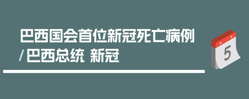 巴西国会首位新冠死亡病例/巴西总统 新冠