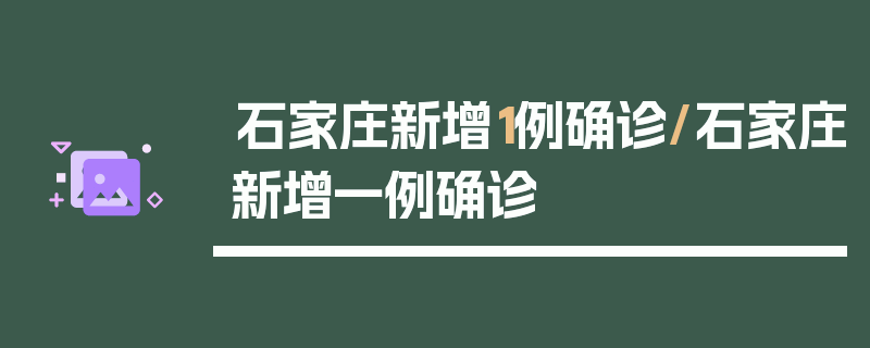石家庄新增1例确诊/石家庄新增一例确诊