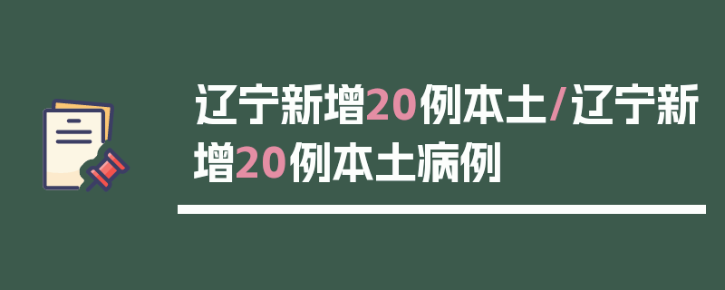 辽宁新增20例本土/辽宁新增20例本土病例