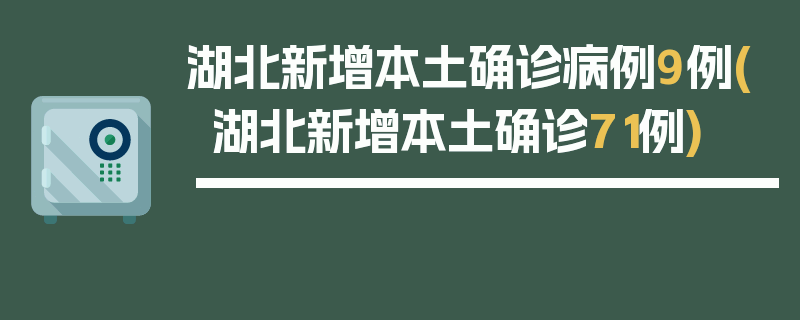 湖北新增本土确诊病例9例(湖北新增本土确诊71例)