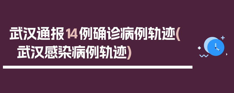武汉通报14例确诊病例轨迹(武汉感染病例轨迹)